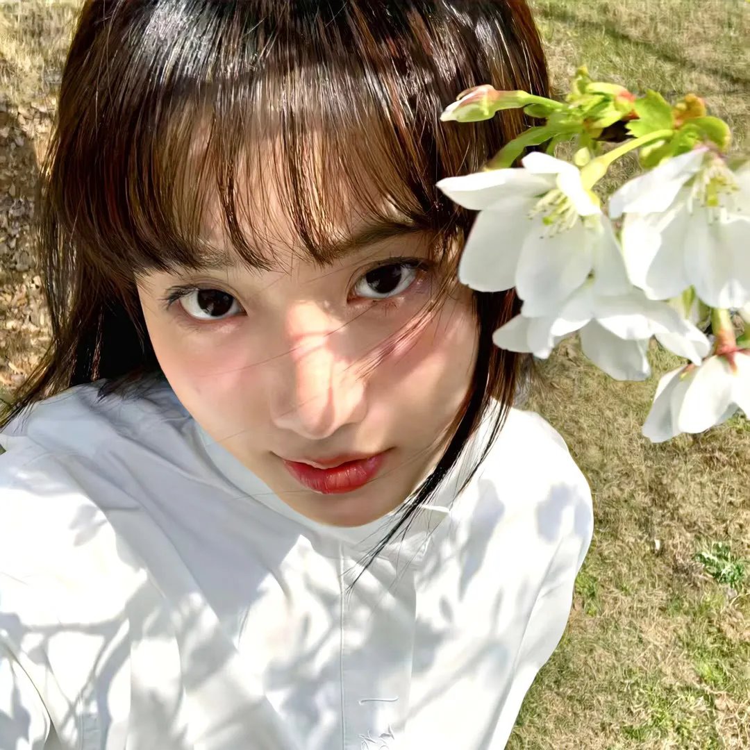 路德探长：落日之殇